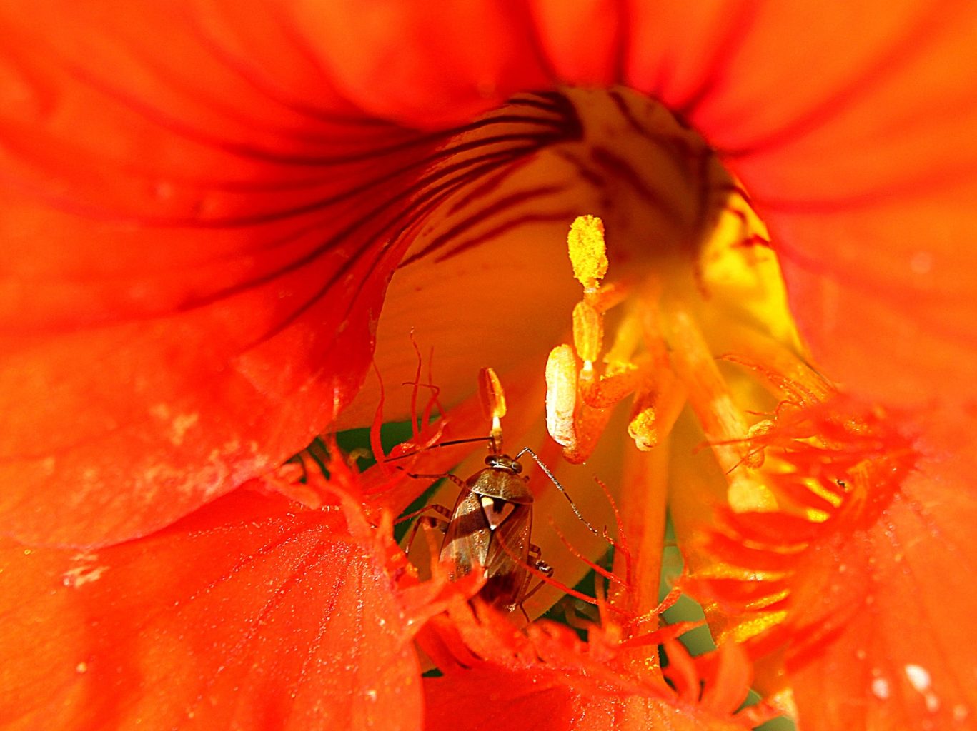 Valokuvaaja: Irja Lehtinen Valokuvaaja: Irja Lehtinen