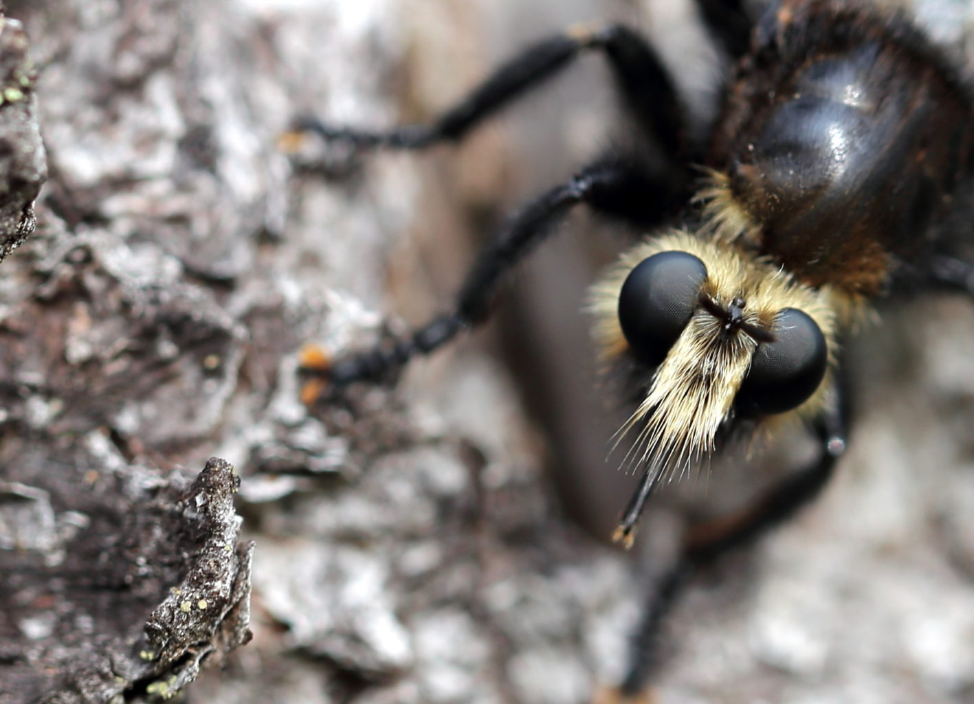 Valokuvaaja: Kirsi Kyllönen