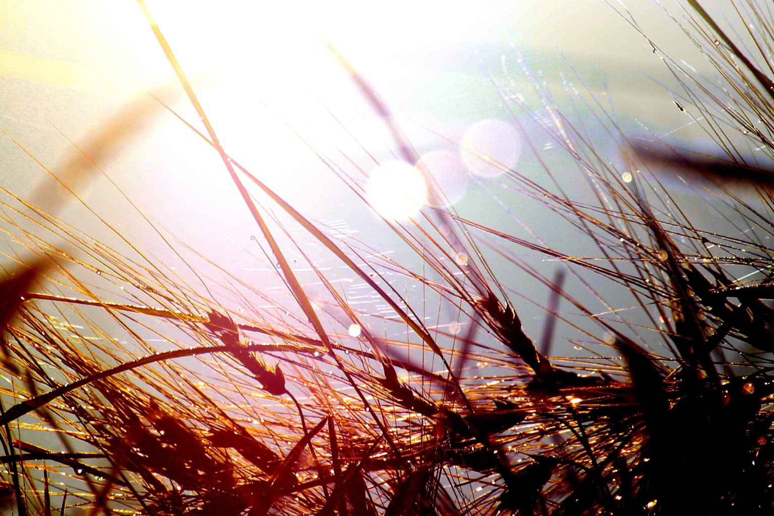 Valokuvaaja: Irja Lehtinen