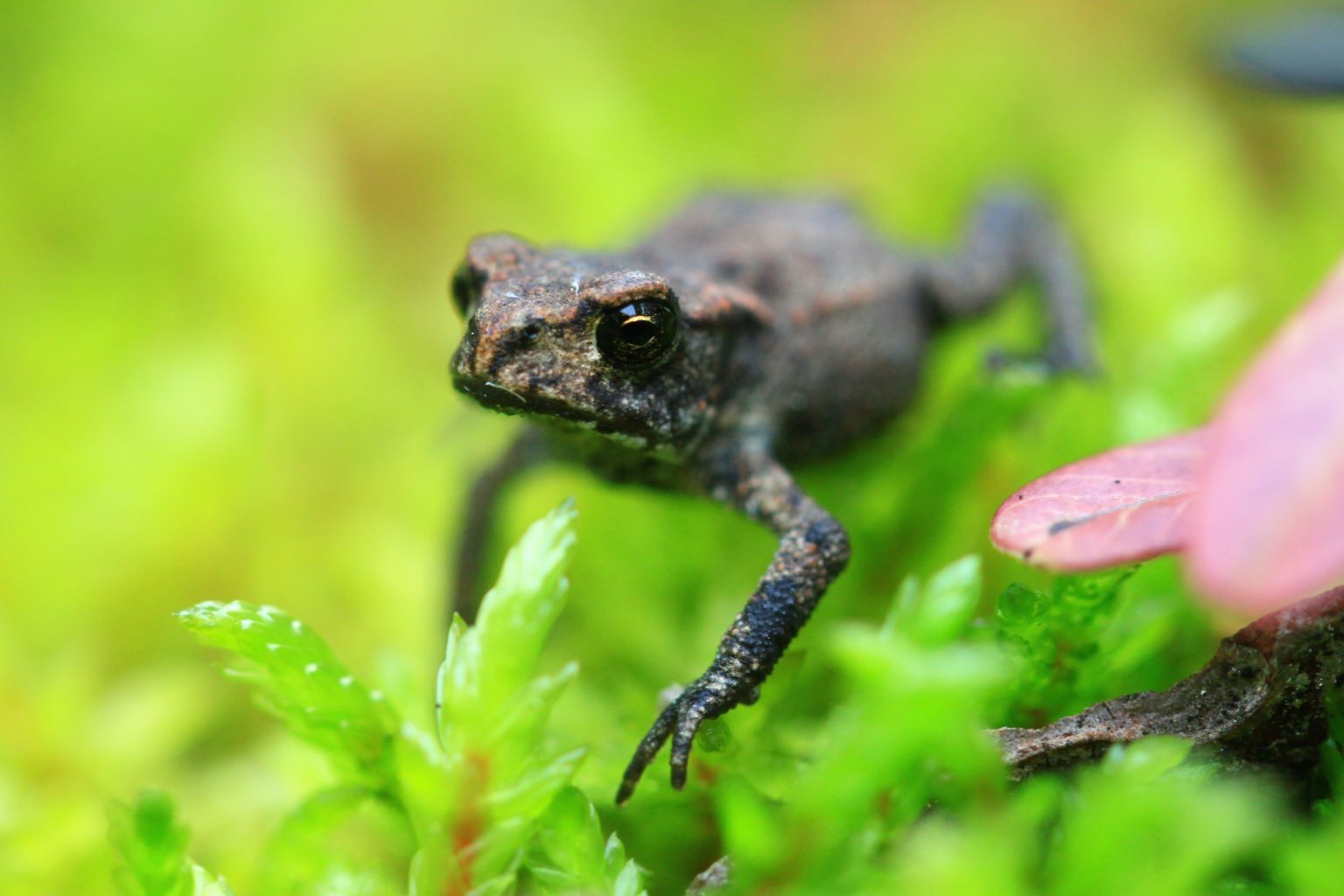 Valokuvaaja: Berndt Hannelius
