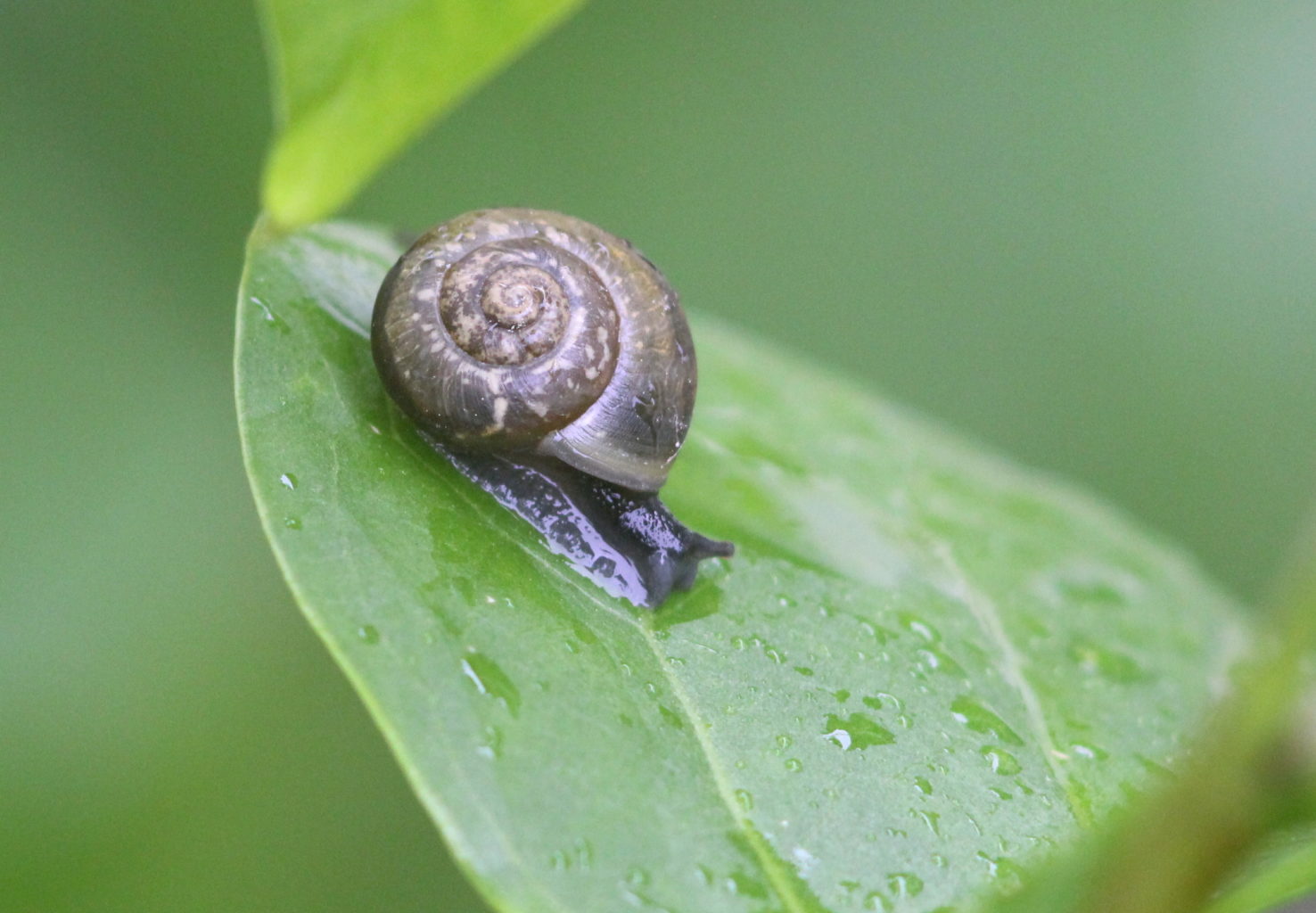 Valokuvaaja: Kalle Asikainen