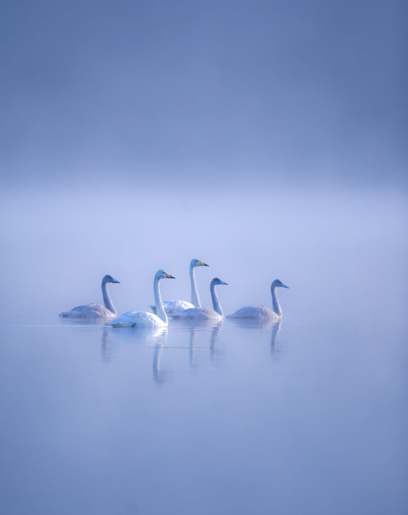 Valokuvaaja: Jukka Risikko Valokuvaaja: Jukka Risikko