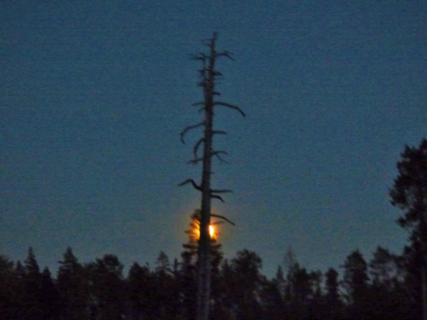 Valokuvaaja: Hannu Rissanen Valokuvaaja: Hannu Rissanen