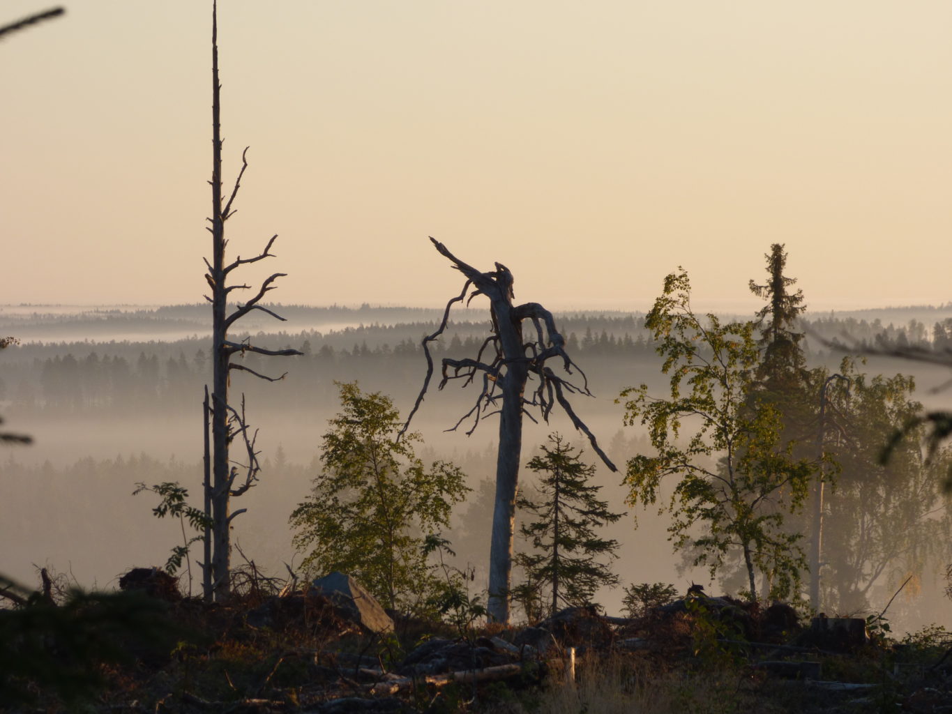 Valokuvaaja: Hannu Rissanen Valokuvaaja: Hannu Rissanen