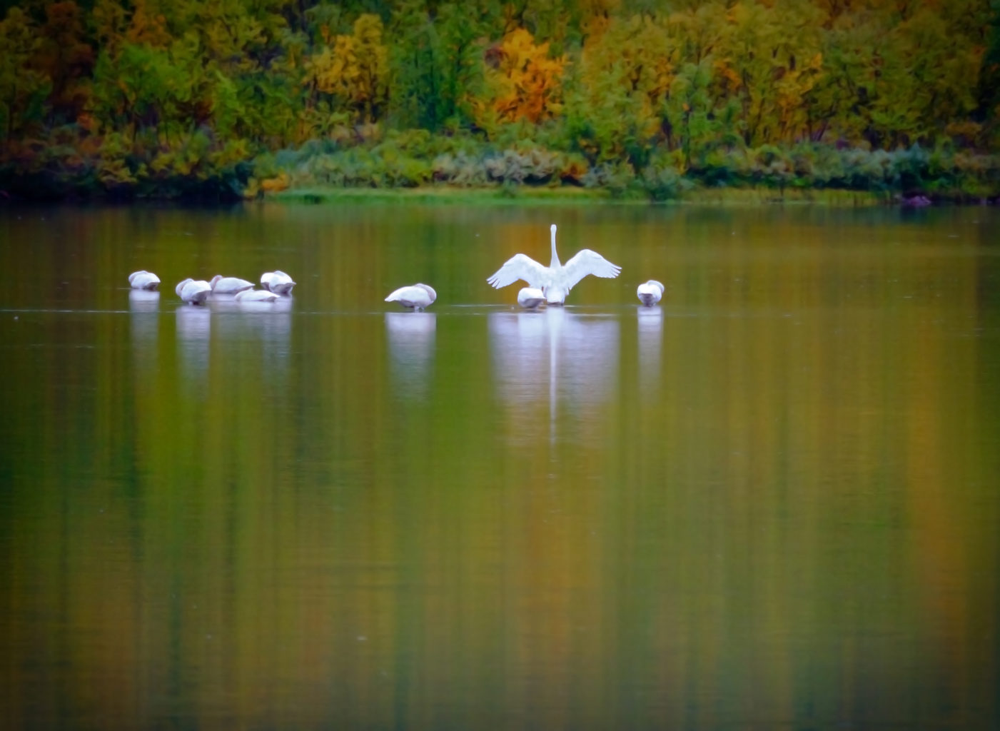 Valokuvaaja: Sannamari Blinnikka-Tyrväinen