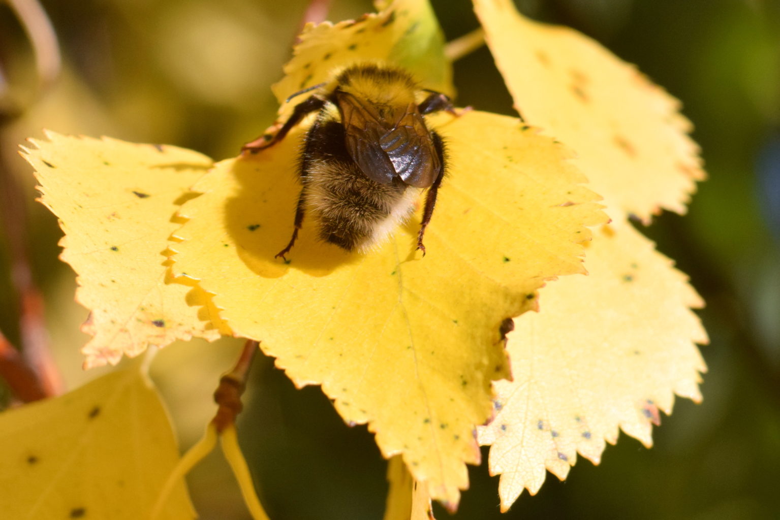 Valokuvaaja: Kalle Asikainen Valokuvaaja: Kalle Asikainen