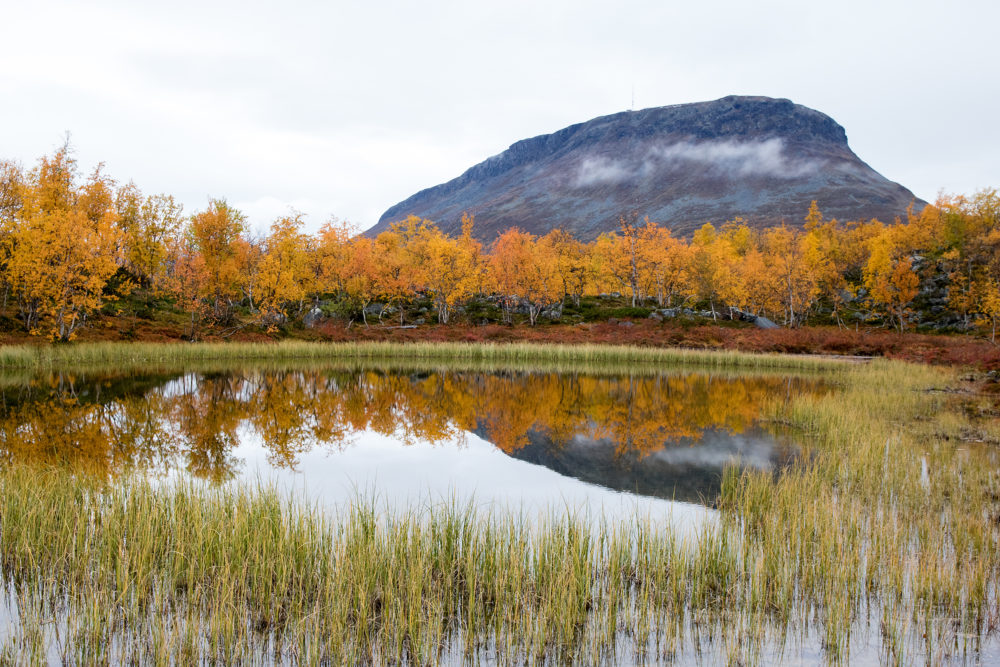 Kilpisjärven mahtava ruska