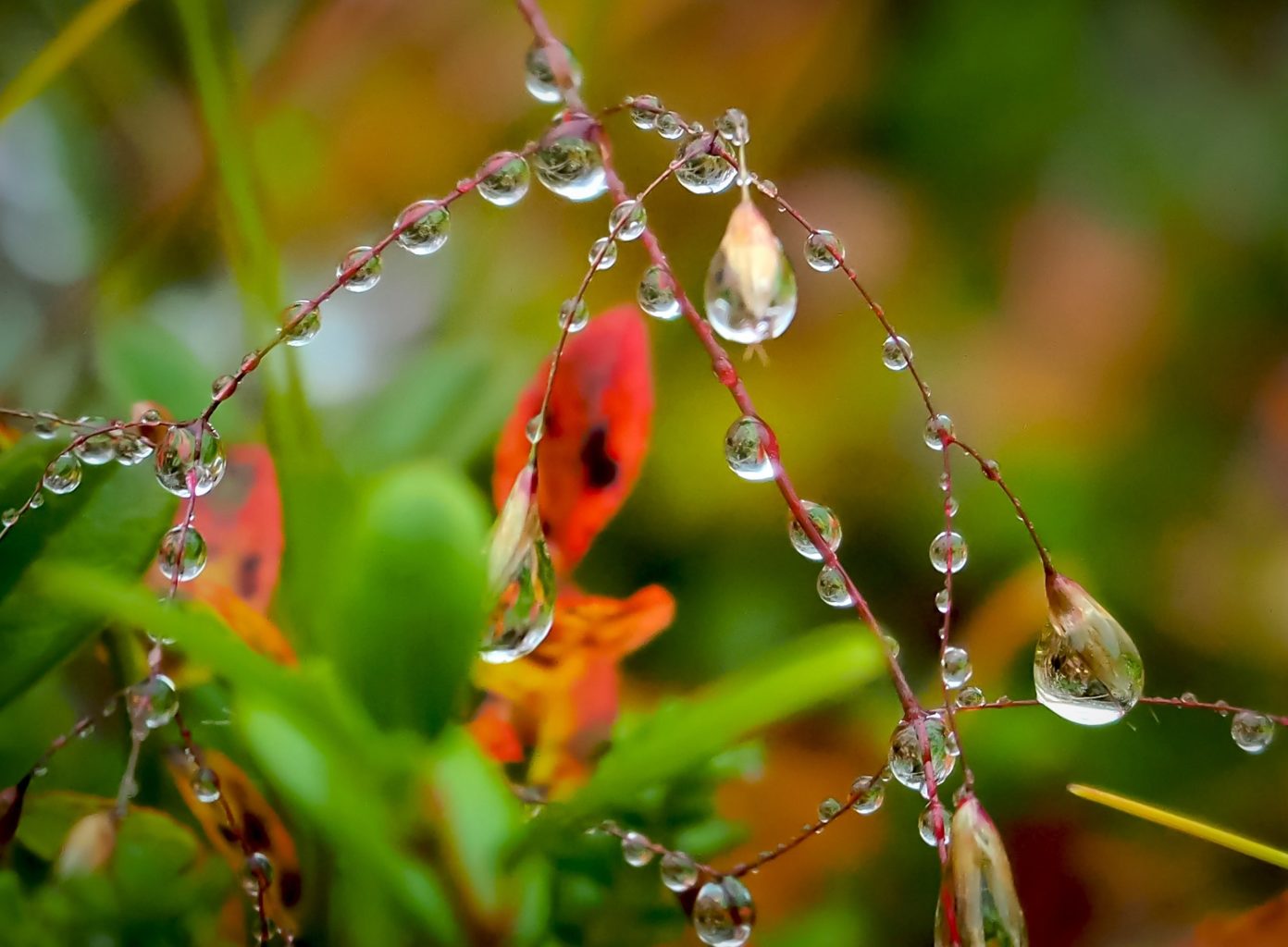 Valokuvaaja: Sannamari Blinnikka-Tyrväinen