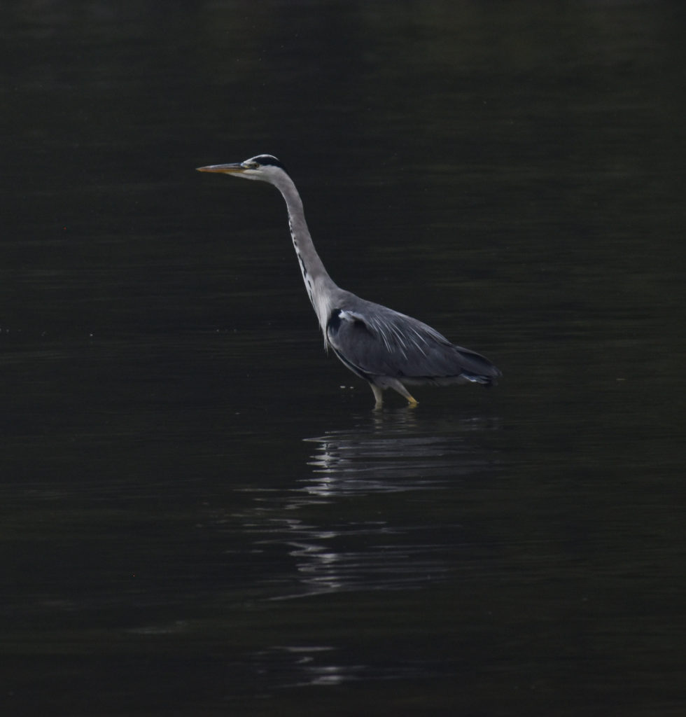 Valokuvaaja: Minna Mäkipää