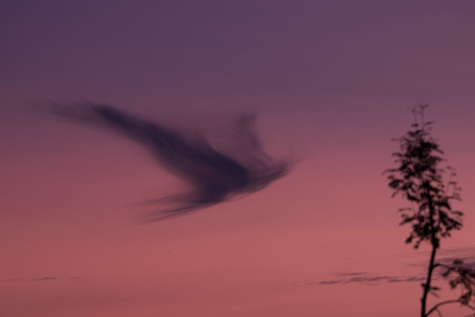 Valokuvaaja: Merja Ollikainen