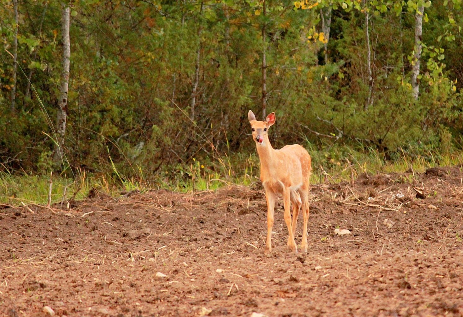 Valokuvaaja: Sirpa Jyske