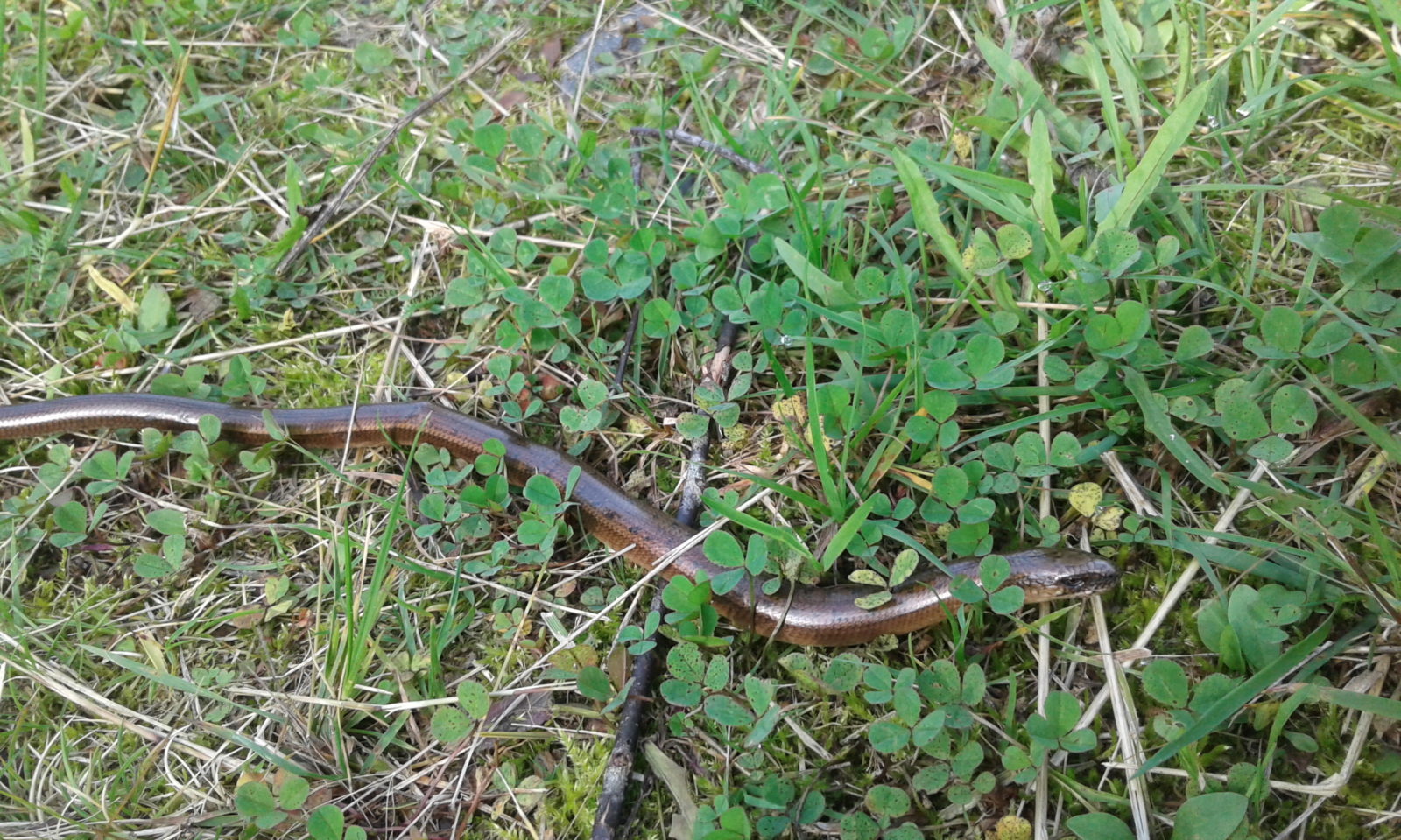 Valokuvaaja: Leena Tulokas