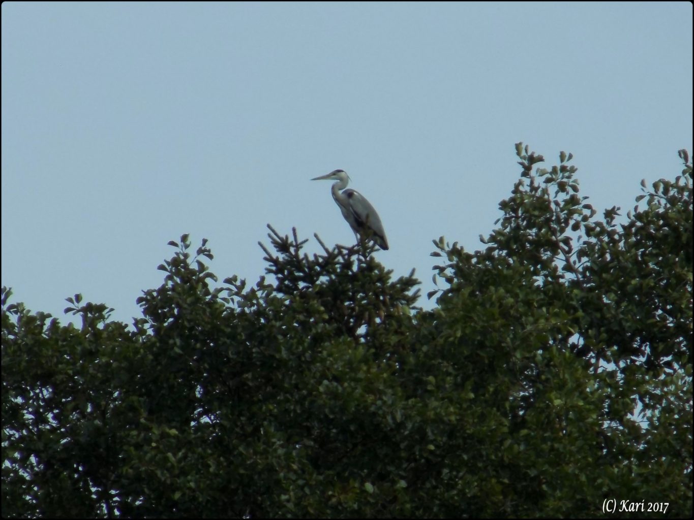 Valokuvaaja: Kari Saarinen