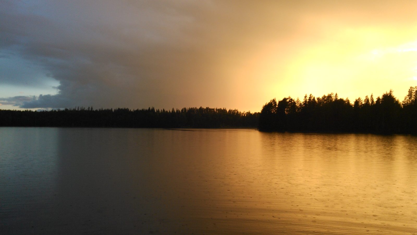 Valokuvaaja: Harri Susi