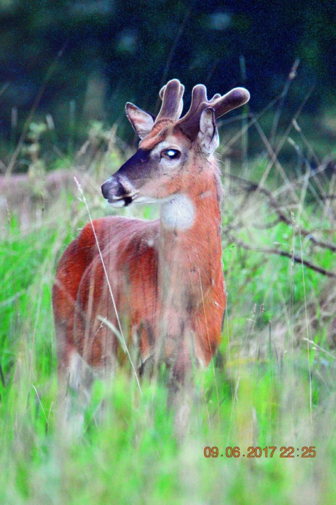 Valokuvaaja: Milja Pakkala Valokuvaaja: Milja Pakkala