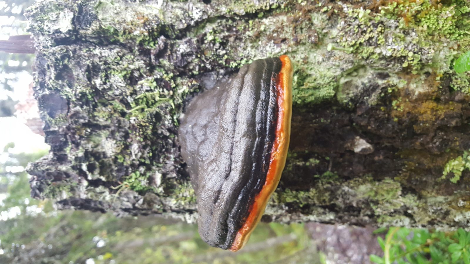 Valokuvaaja: Hannu jautaniemi