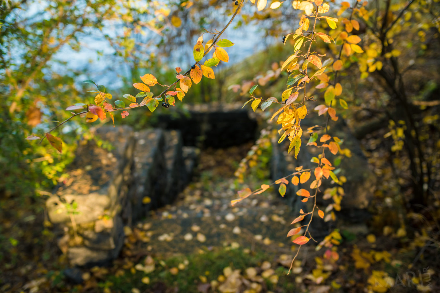 Valokuvaaja: Mari Mur