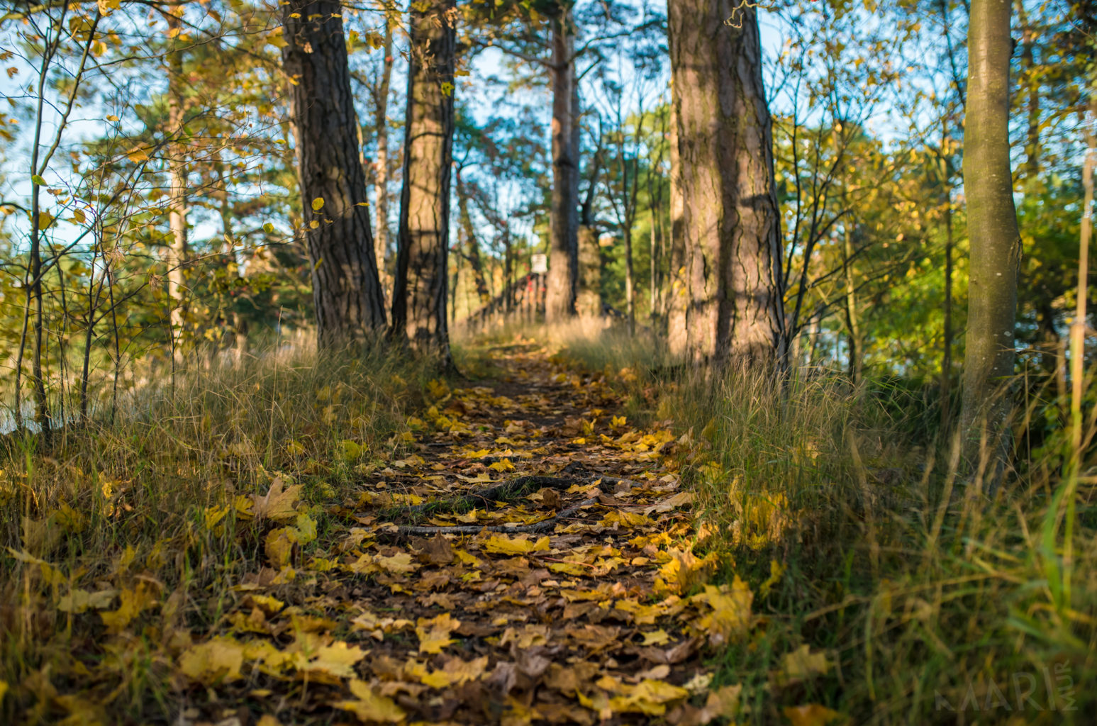 Valokuvaaja: Mari Mur