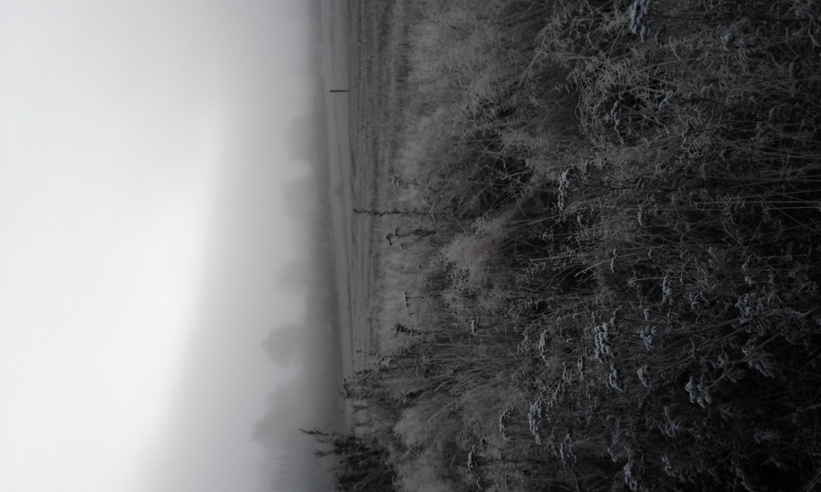 Valokuvaaja: Heidi Pajamäki Valokuvaaja: Heidi Pajamäki