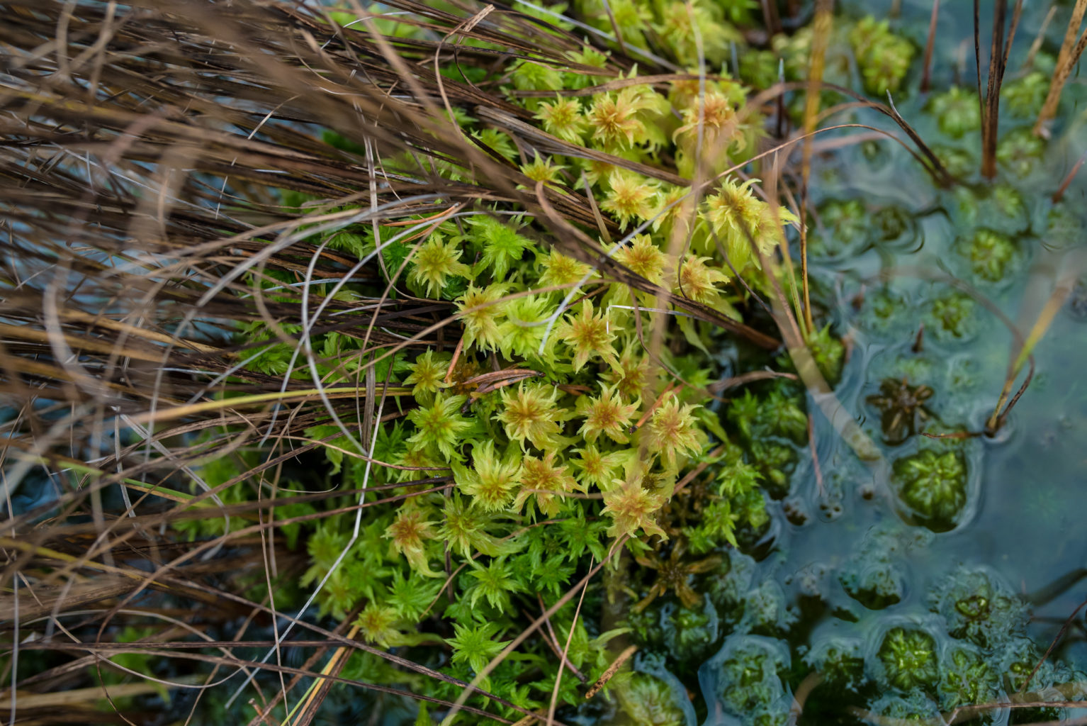 Valokuvaaja: Mari Mur
