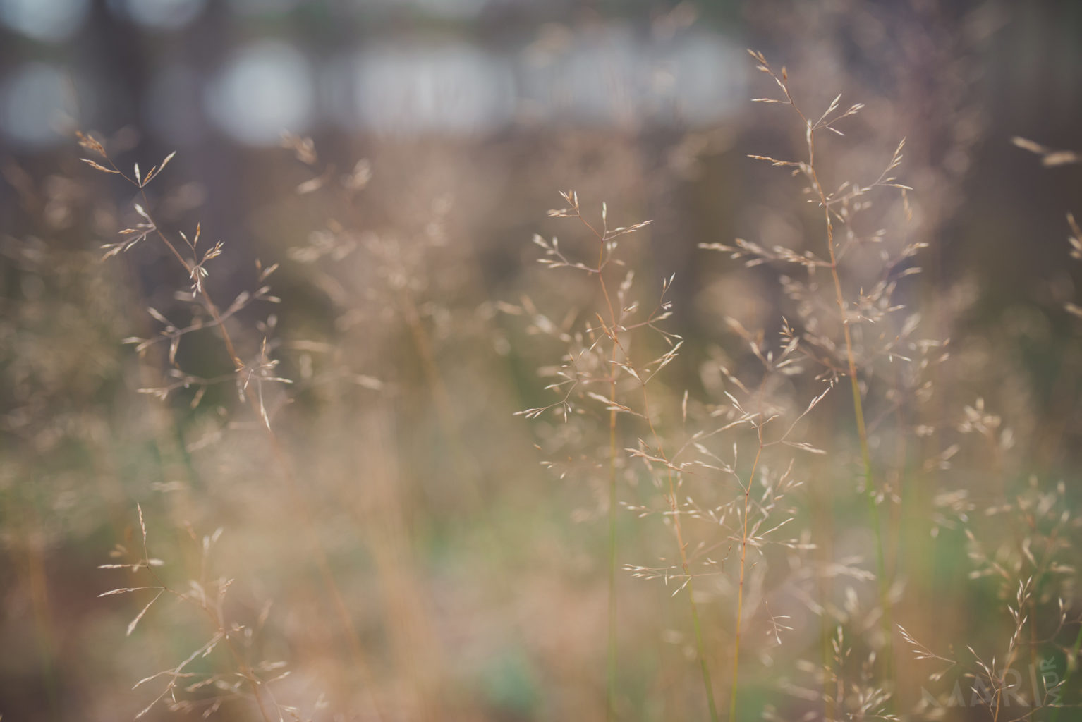 Valokuvaaja: Mari Mur