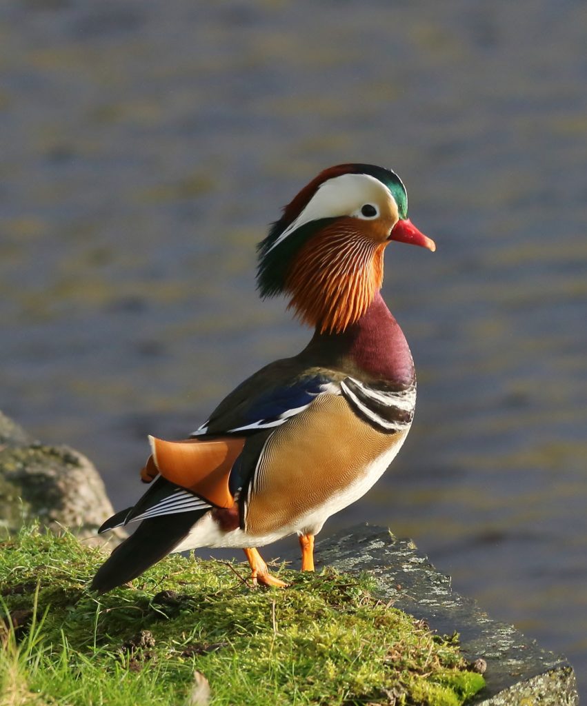 Valokuvaaja: Tuula Pirnes