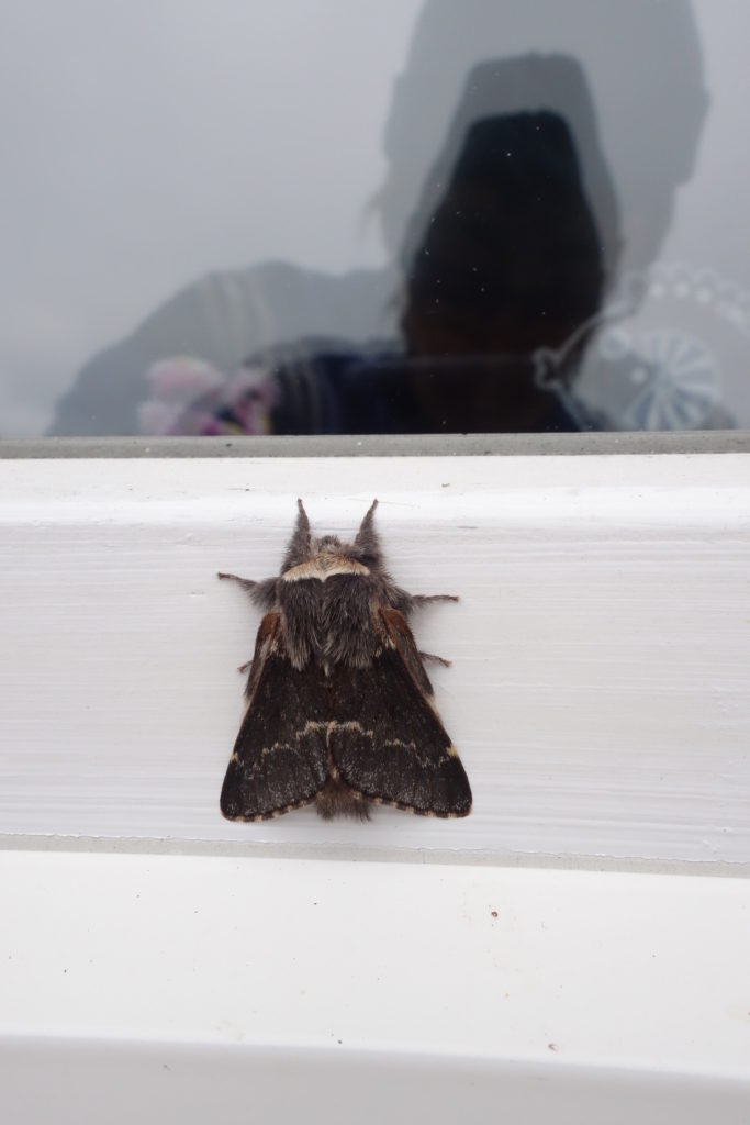 Valokuvaaja: Kaarina Heiskanen