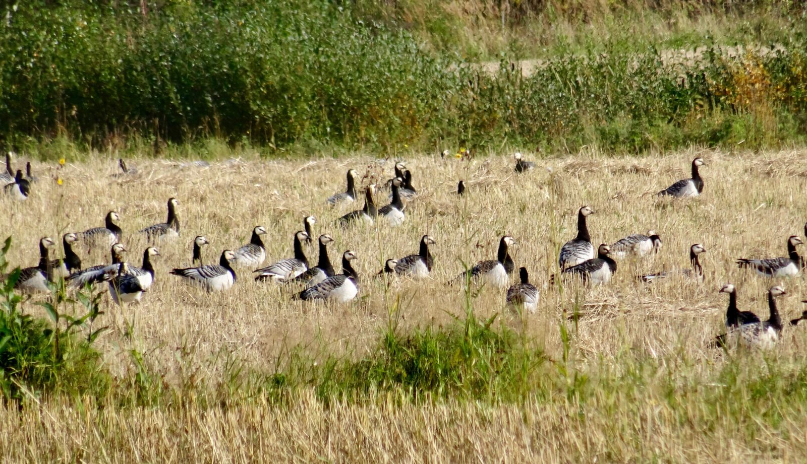 Valokuvaaja: Liisa Niiva-Korpela