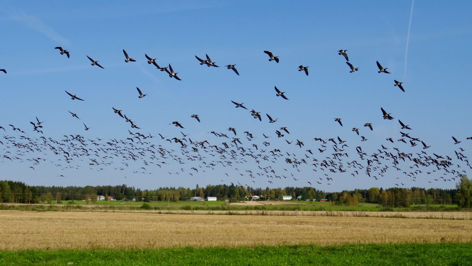 Valokuvaaja: Liisa Niiva-Korpela