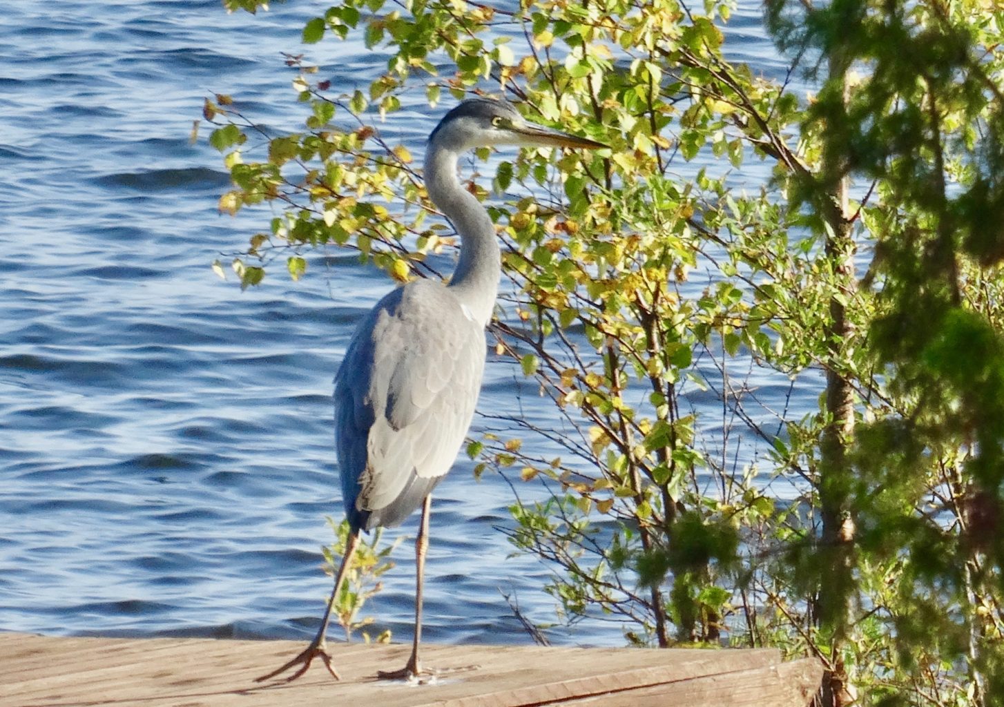 Valokuvaaja: Liisa Niiva-Korpela