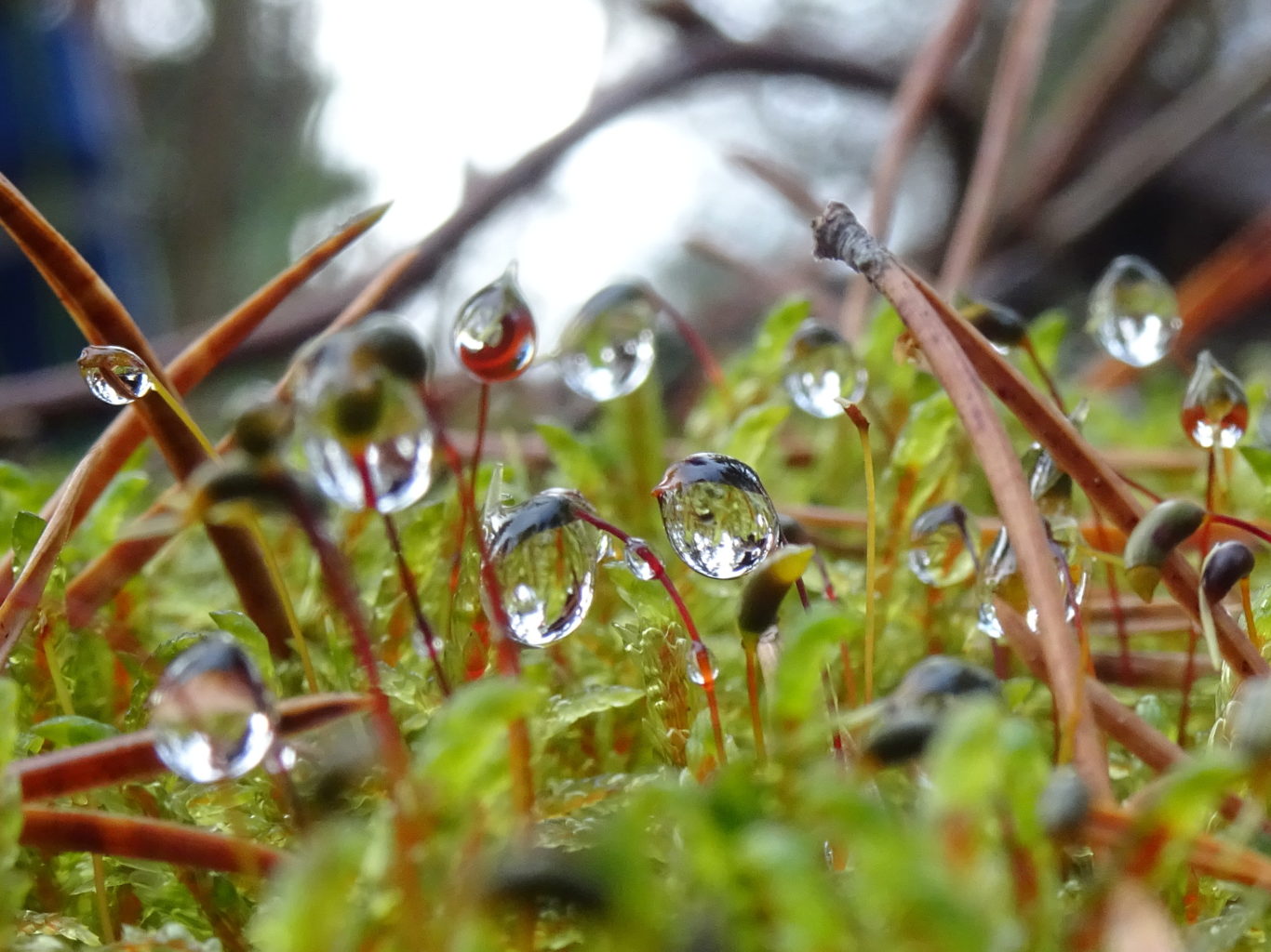 Valokuvaaja: Irja lehtinen Valokuvaaja: Irja lehtinen