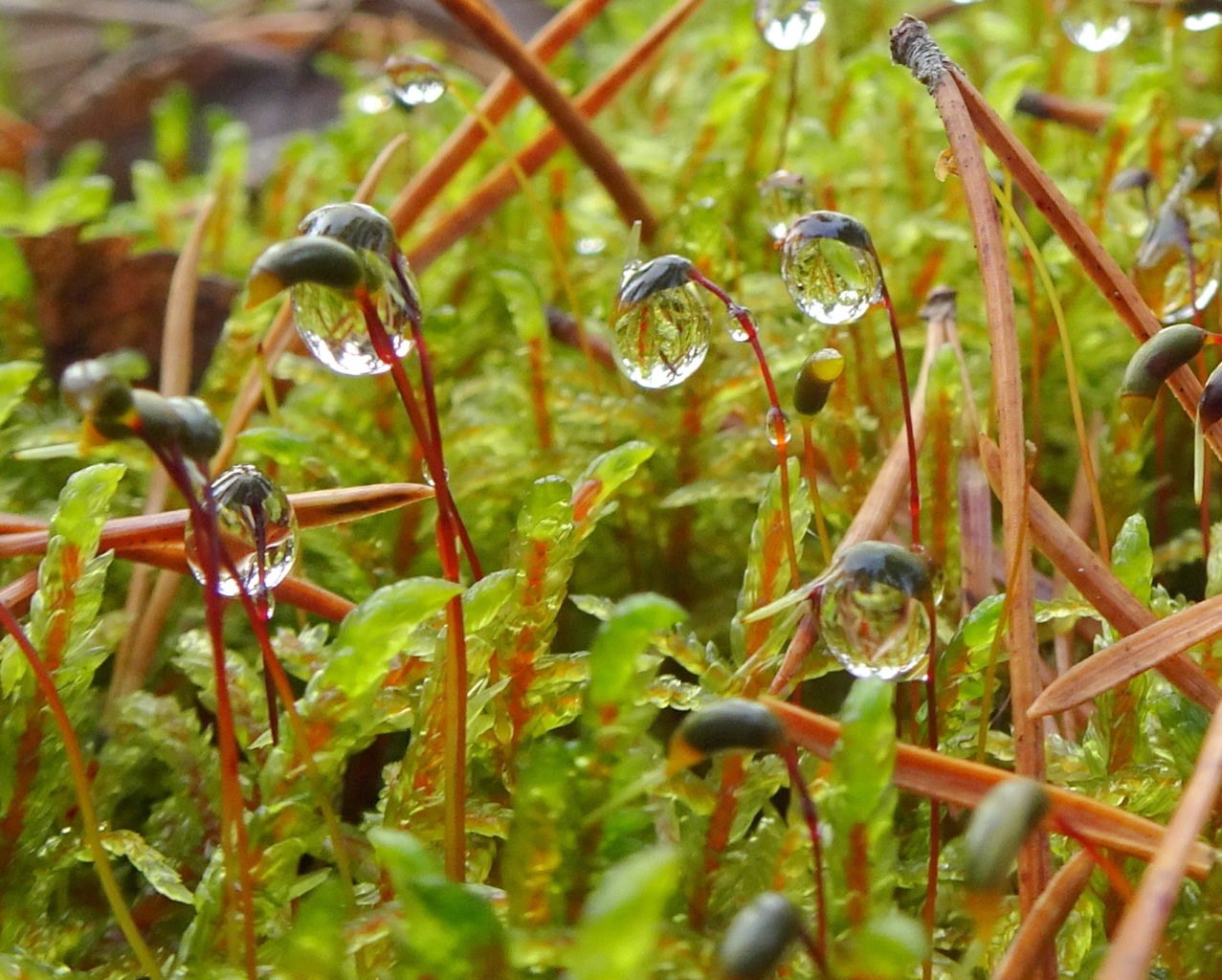 Valokuvaaja: Irja Lehtinen