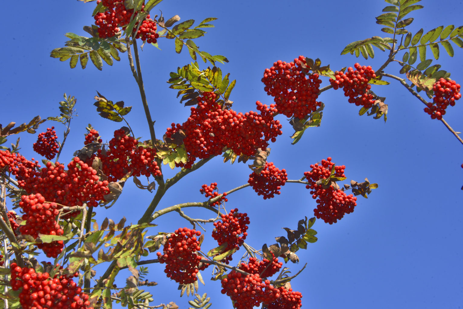 Valokuvaaja: Reijo Juurinen