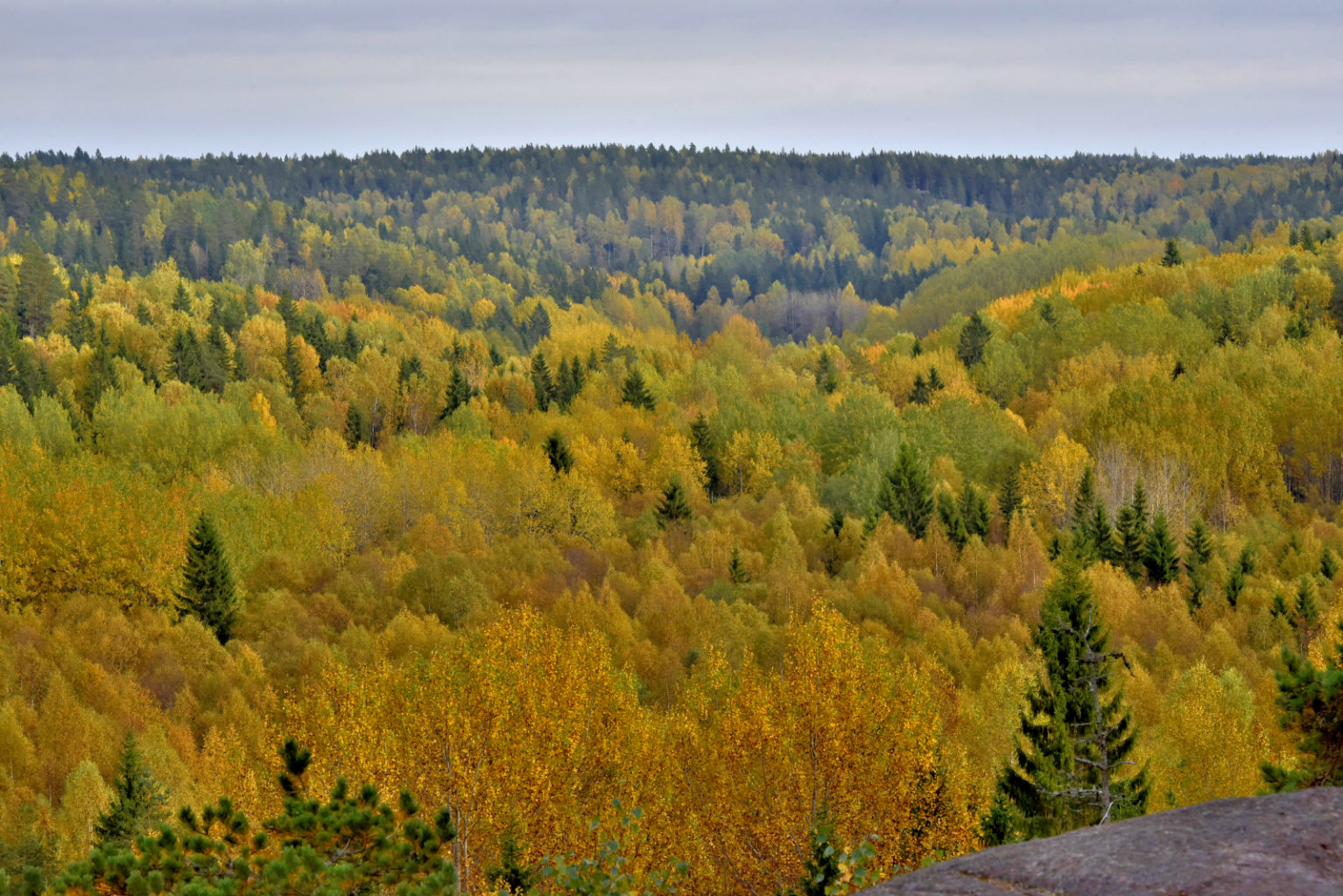 Valokuvaaja: Reijo Juurinen