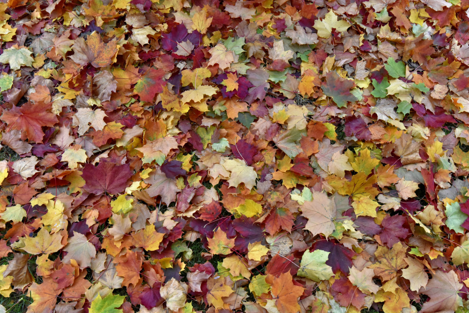 Valokuvaaja: Reijo Juurinen