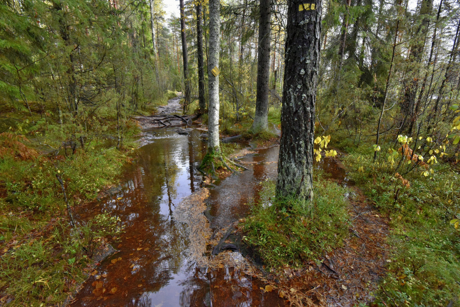 Valokuvaaja: Reijo Juurinen Valokuvaaja: Reijo Juurinen