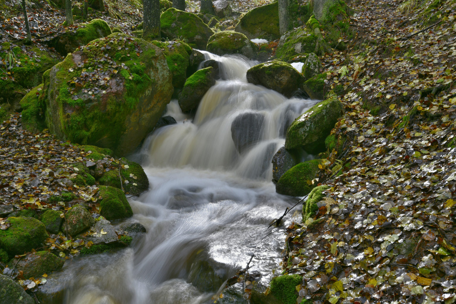 Valokuvaaja: Reijo Juurinen