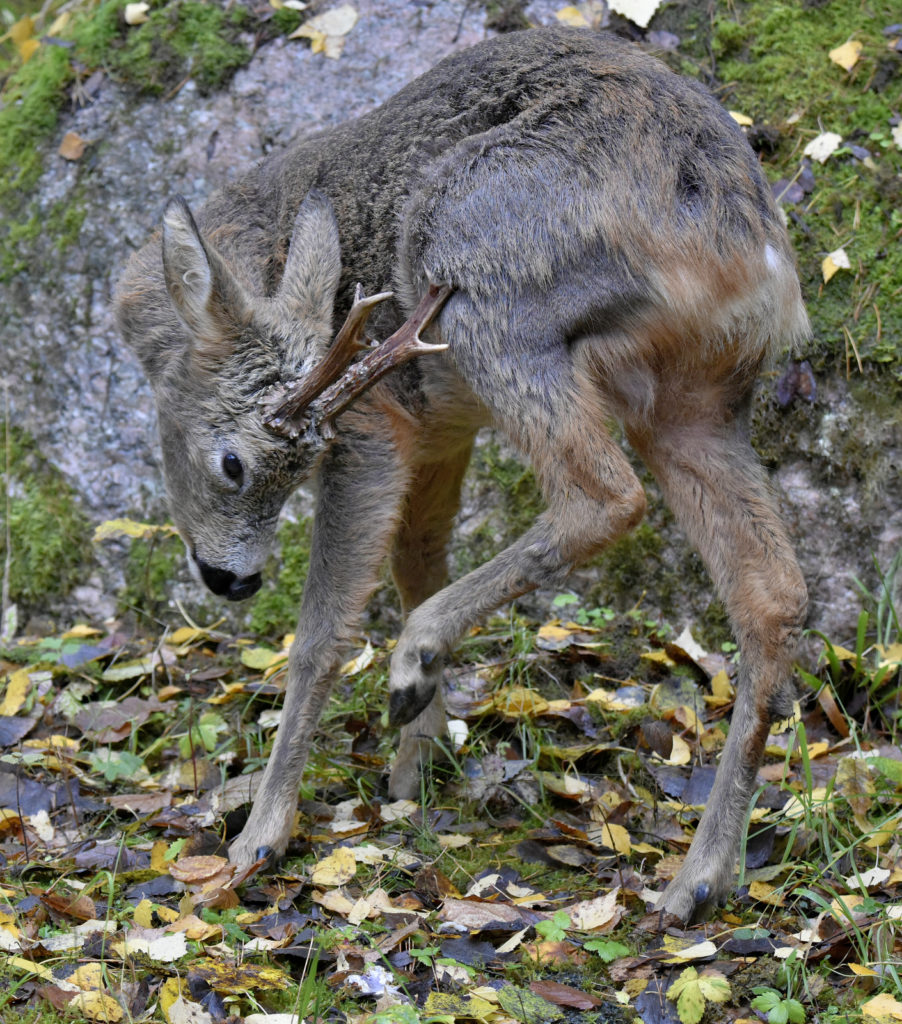 Valokuvaaja: Reijo Juurinen