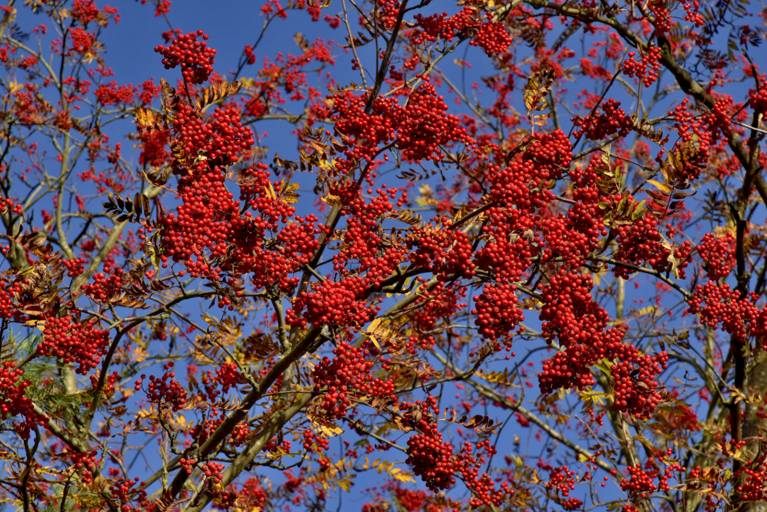Valokuvaaja: Reijo Juurinen