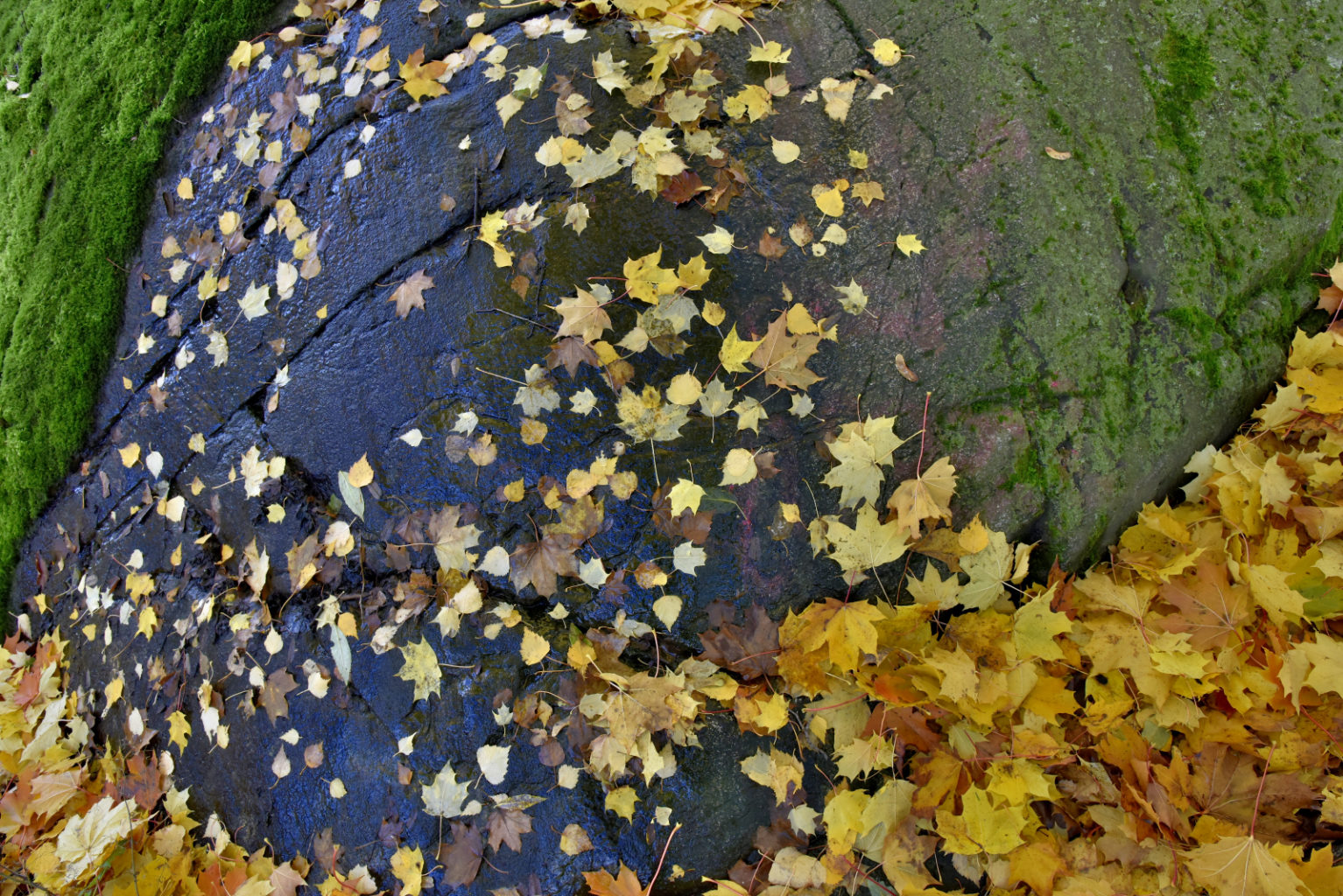 Valokuvaaja: Reijo Juurinen