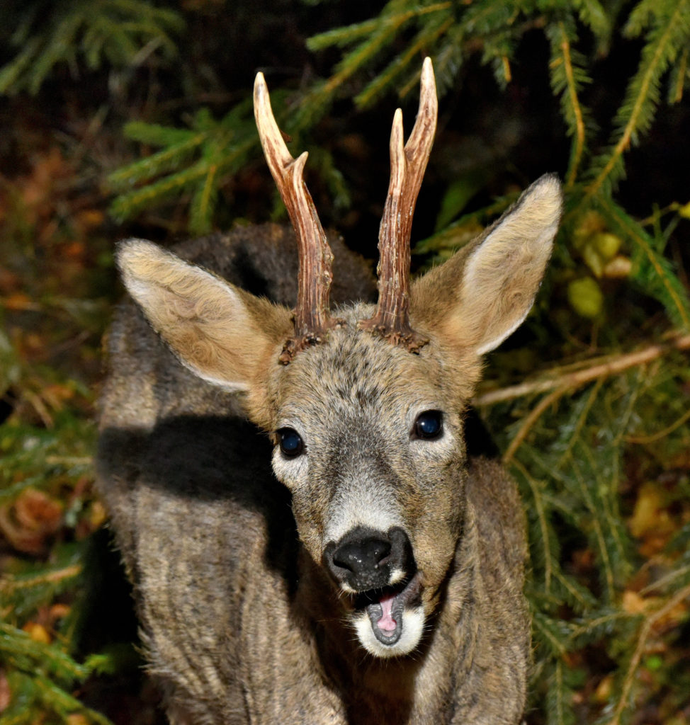 Valokuvaaja: Reijo Juurinen