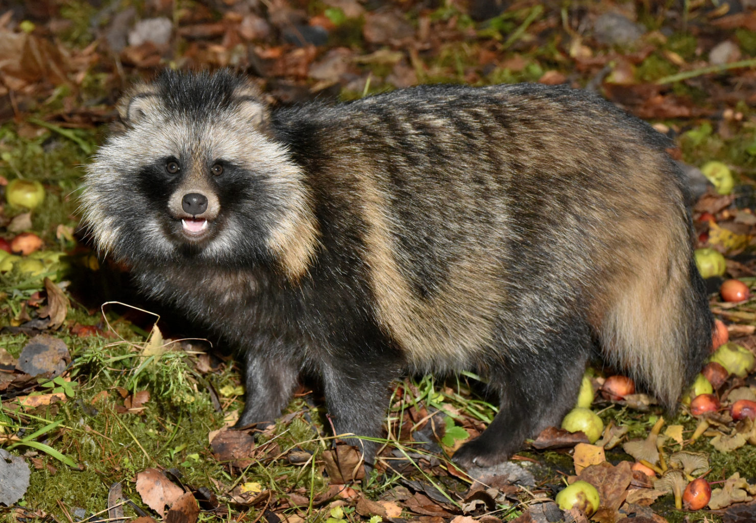 Valokuvaaja: Reijo Juurinen