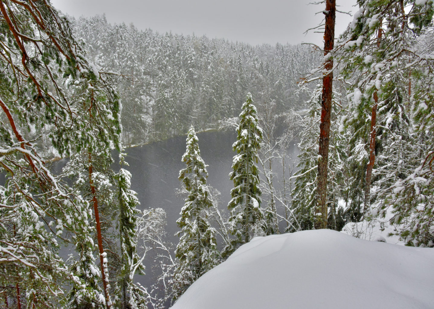 Valokuvaaja: Reijo Juurinen