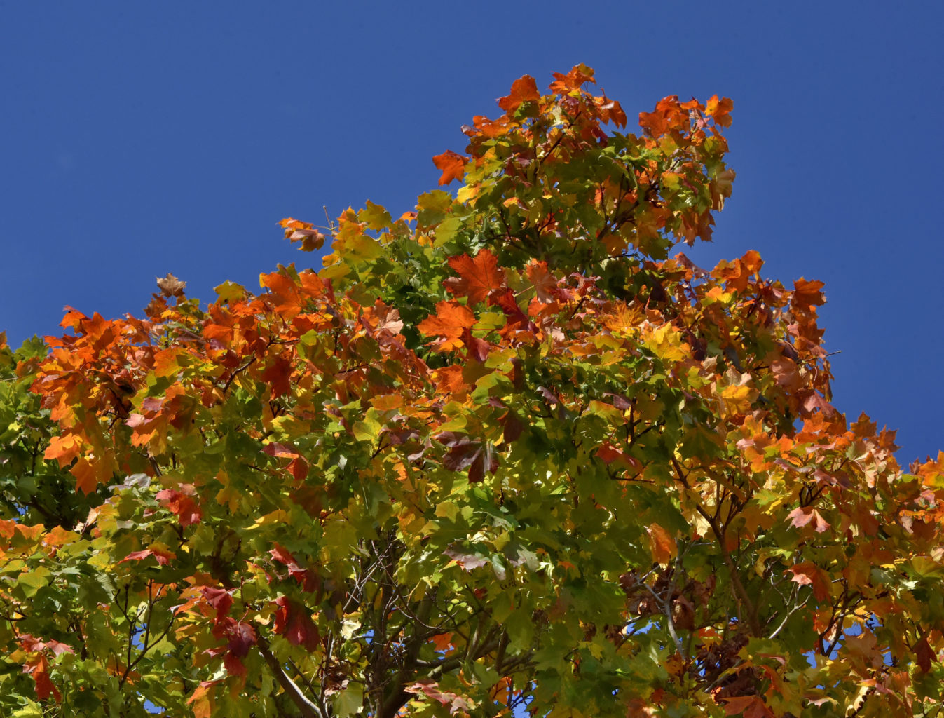 Valokuvaaja: Reijo Juurinen