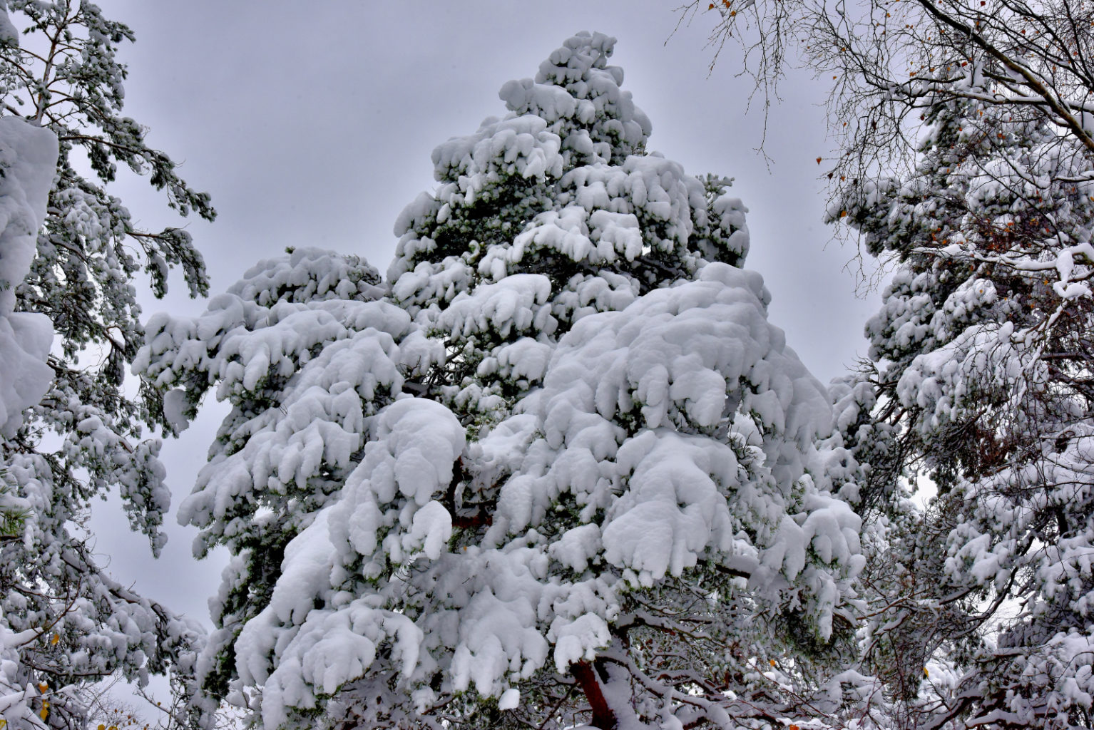 Valokuvaaja: Reijo Juurinen