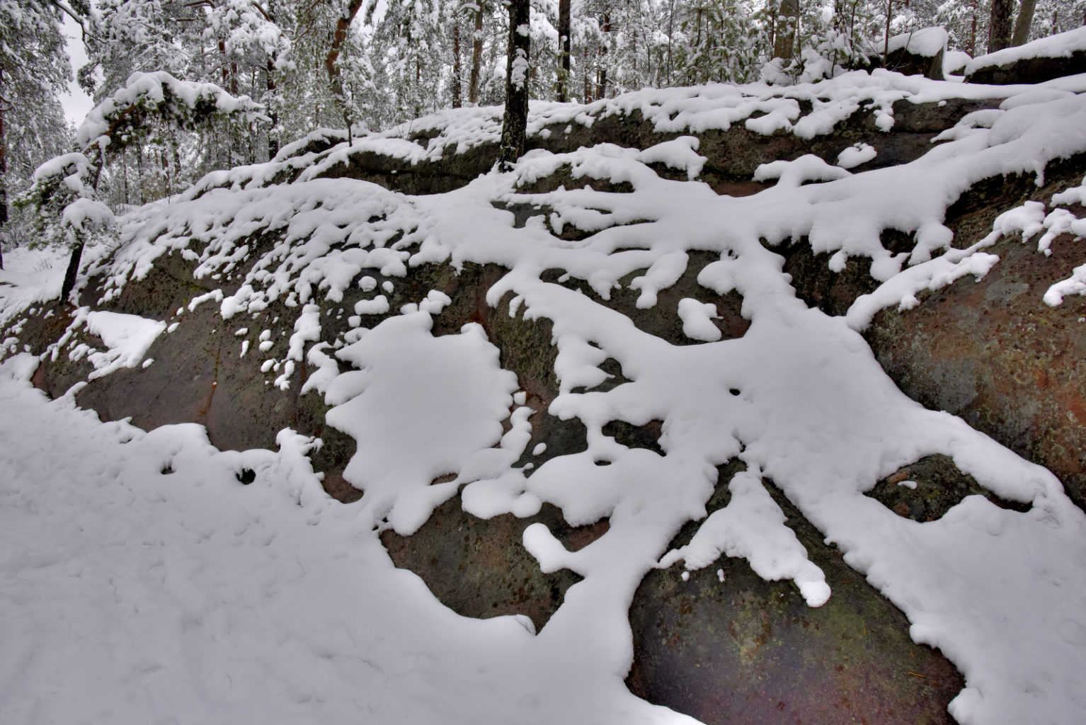 Valokuvaaja: Reijo Juurinen