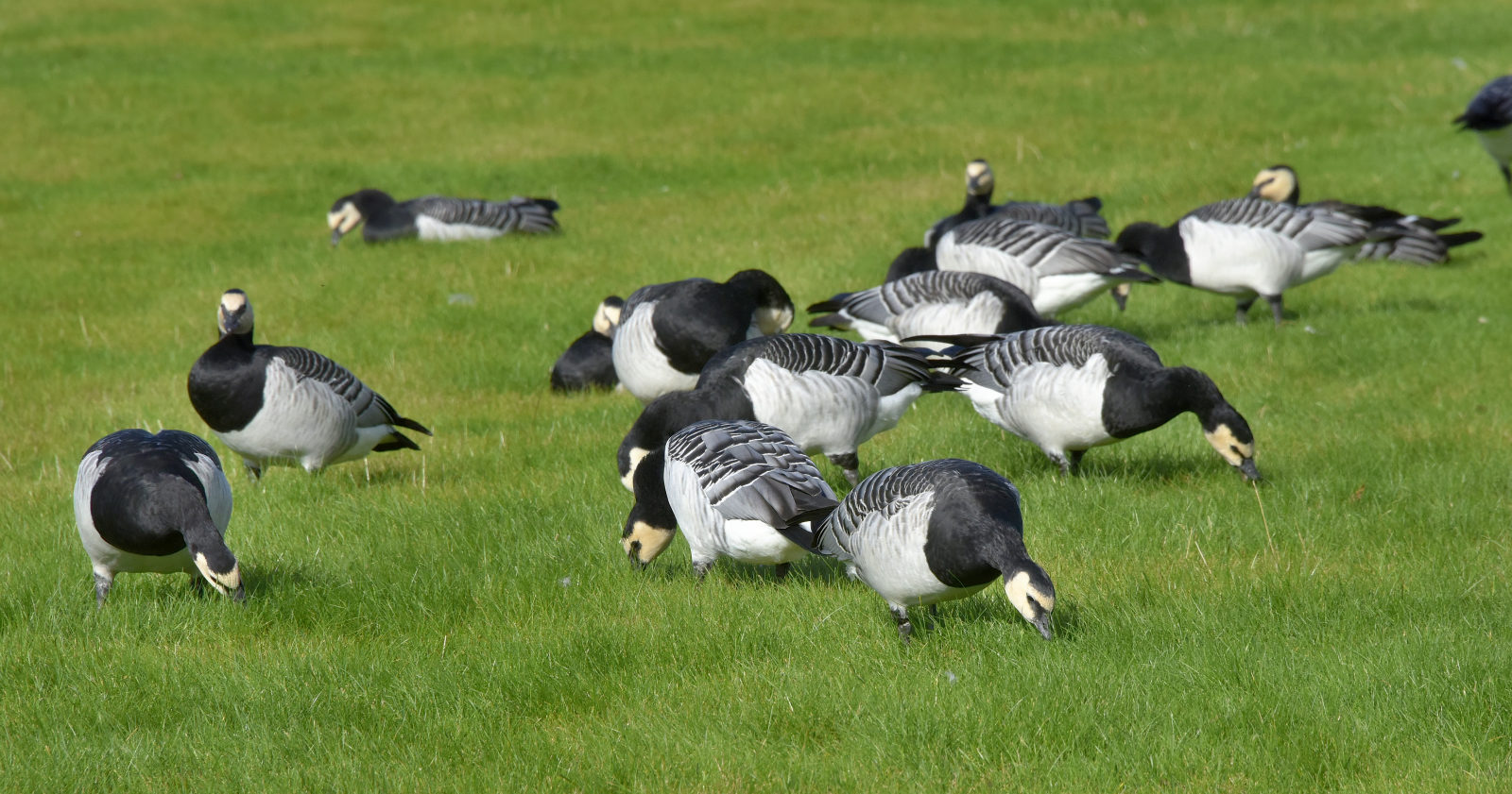 Valokuvaaja: Reijo Juurinen