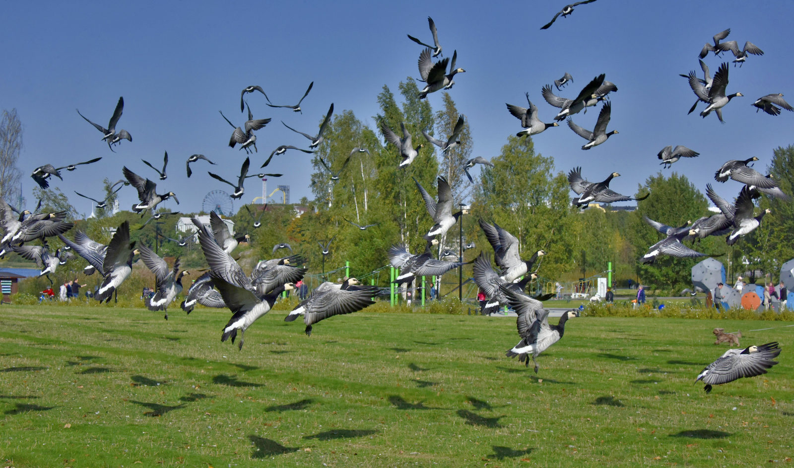 Valokuvaaja: Reijo Juurinen