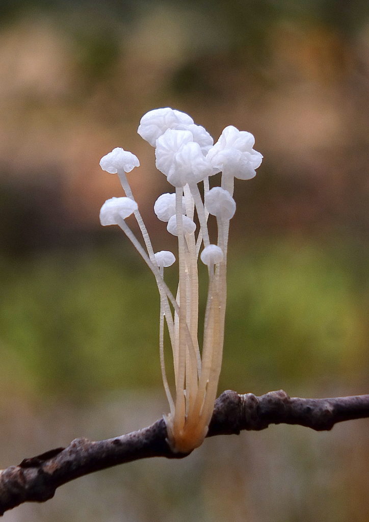 Valokuvaaja: hannu rasiranta