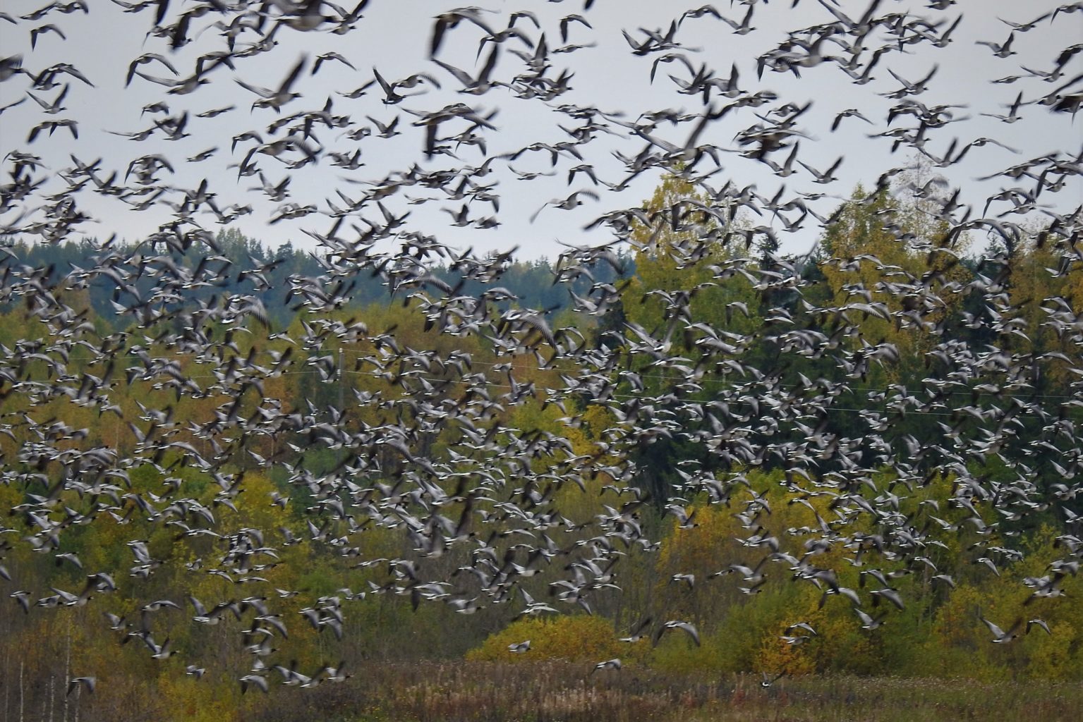Valokuvaaja: Maarit Siitonen